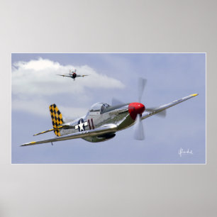 Póster Mustang y Thunderbolt