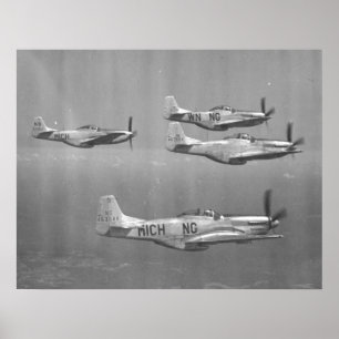 Póster Mustangos P-51