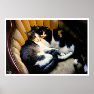 Póster Mutual Support