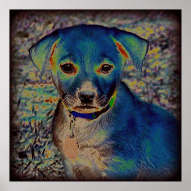 Póster MVB Labrador Poster - Diseño psicodélico (Frente)