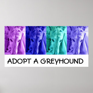 Póster Mx4 Adoptar un Poster de Greyhound