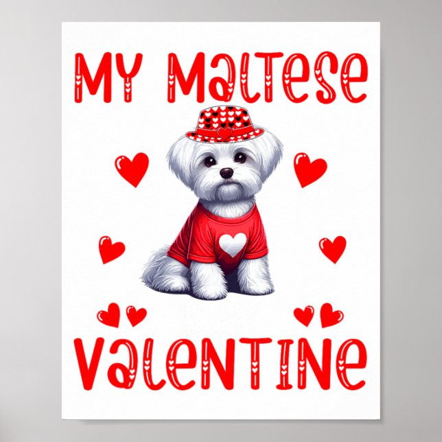 Póster My Maltese Is My Valentine Hearts Costume Single O (Frente)
