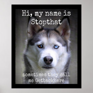 Póster My Name Is Stop that Funny Hyper Siberian Husky
