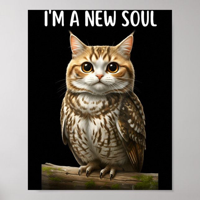 Póster My Srit Animal Funny Meowl, Cursed Cat Owl Brainro (Frente)