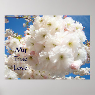 Póster My True Love art prints Pink White Flower Blossoms