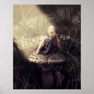 Póster My Wonderland