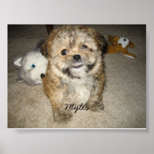 Póster Myles