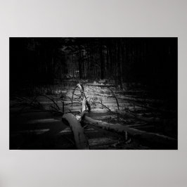 Póster Mystic Night Forest – Moody Nature Landscape