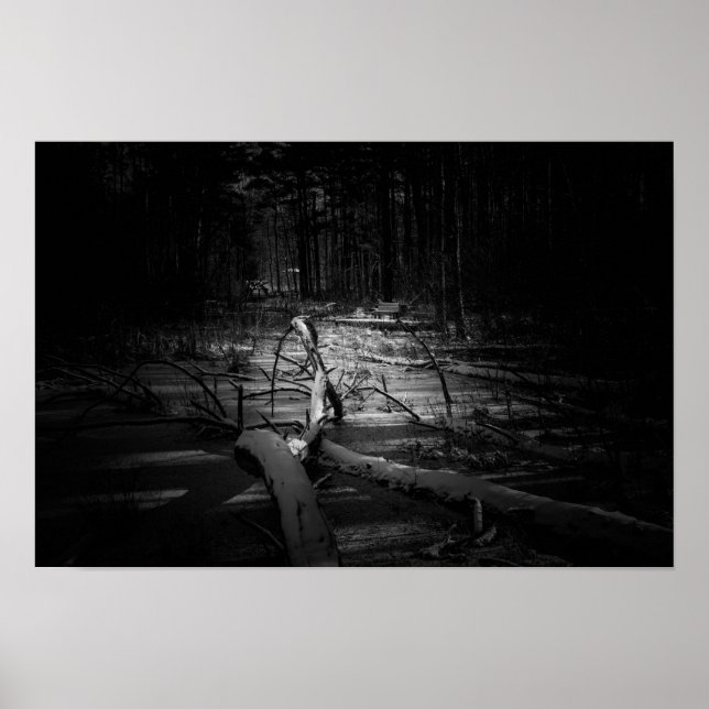 Póster Mystic Night Forest – Moody Nature Landscape (Frente)