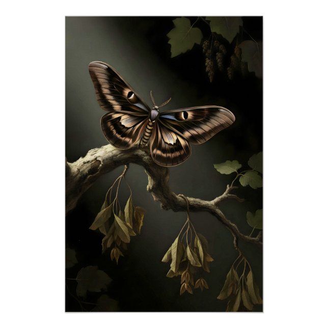 Póster Mystical Woodland Moth (Anverso)