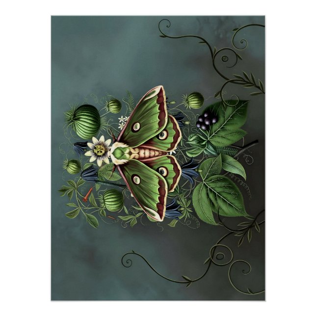 Póster Mystical Woodland Moth (Anverso)