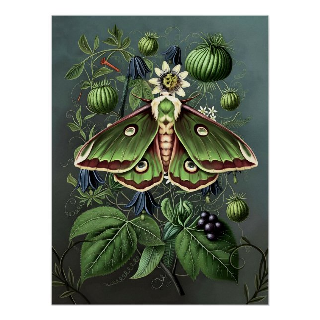 Póster Mystical Woodland Moth (Anverso)