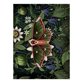 Póster Mystical Woodland Moth