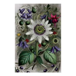 Póster Mystical Woodland Moth