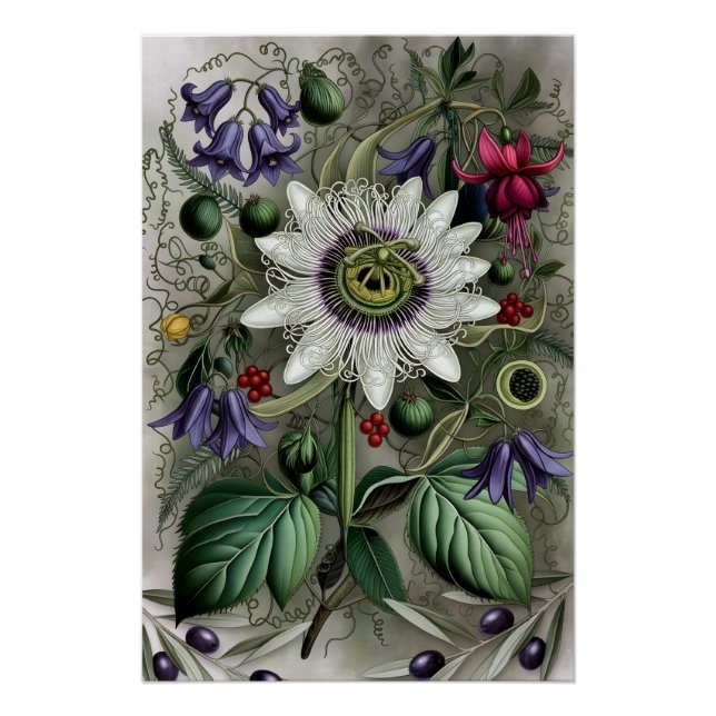 Póster Mystical Woodland Moth (Anverso)