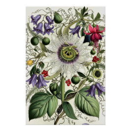 Póster Mystical Woodland Moth