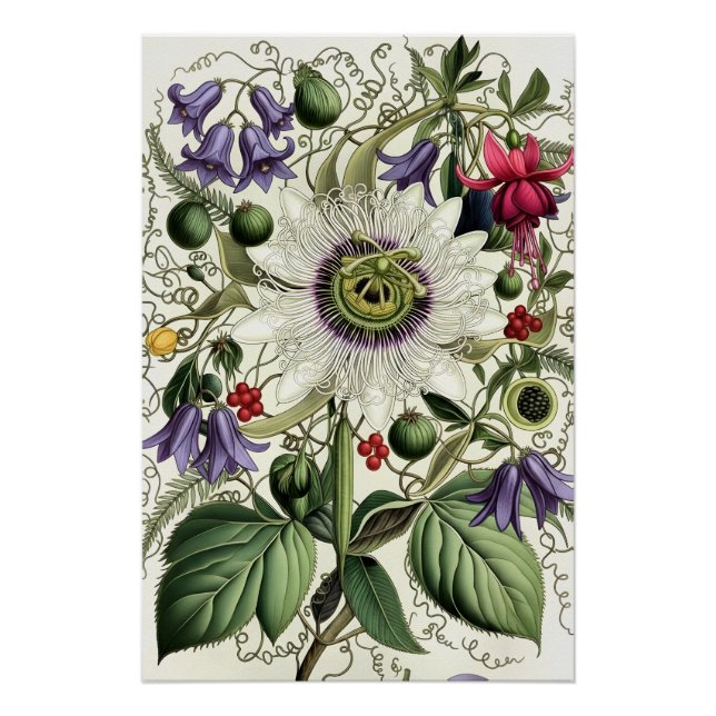 Póster Mystical Woodland Moth (Anverso)