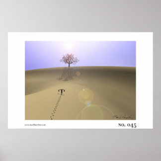 PÓSTER Nº 045