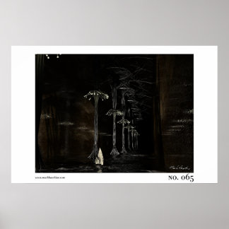 PÓSTER Nº 65