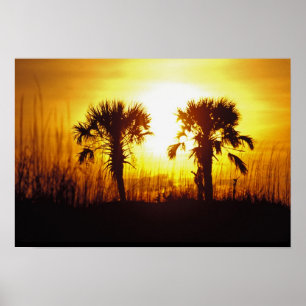 Póster N.A., EE. UU., Carolina del Sur, Charleston. Atard