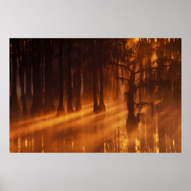 Póster N.A., EE.UU., Georgia, Parque Estatal George Smith (Frente)