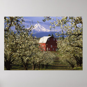 Póster N.A., EE. UU., Oregón, condado de Hood River. Rojo