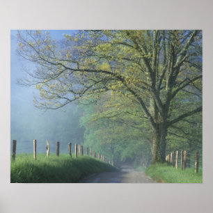 Póster N.A., EE. UU., Tennessee, Parque Nacional Smokey M