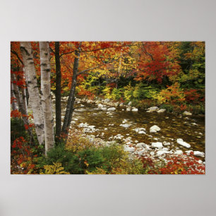Póster N.A., USA, New Hampshire, White Mountains,