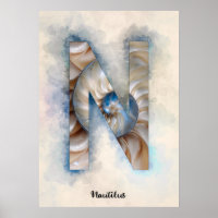 N es para Nautilus