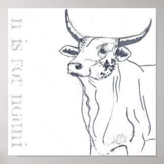 Póster n es para nguni