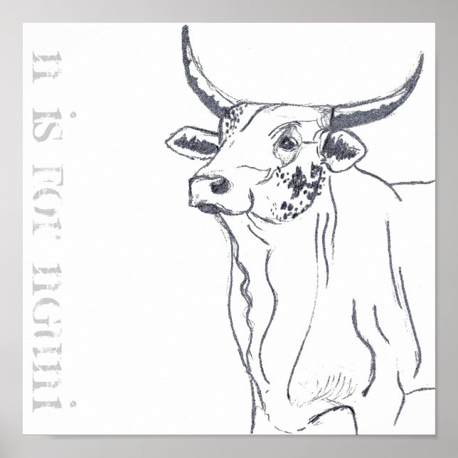 Póster n es para nguni (Frente)