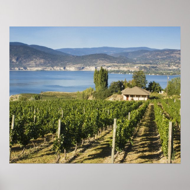 Póster NA; Canadá; Columbia Británica; Valle de Okanagan; (Frente)