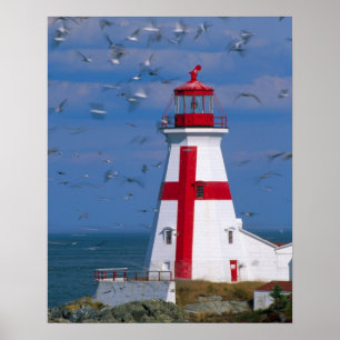 Póster NA, Canadá, Nueva Brunswick, isla Campobello. 8