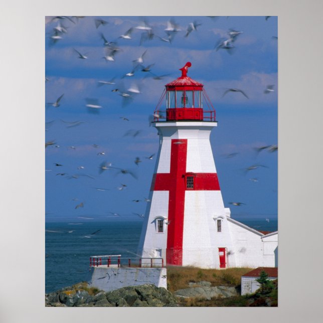 Póster NA, Canadá, Nuevo Brunswick, Isla Campobello. 8 (Frente)