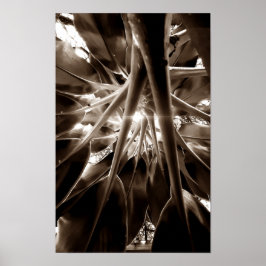 Póster Na direção do sol