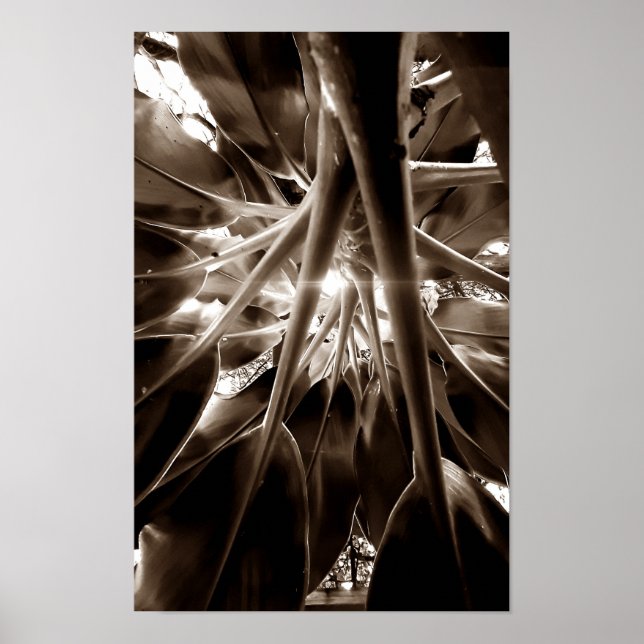 Póster Na direção do sol (Frente)