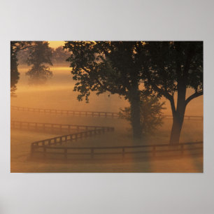 Póster NA, EE. UU., Kentucky. Amanecer brumoso en Kentuck