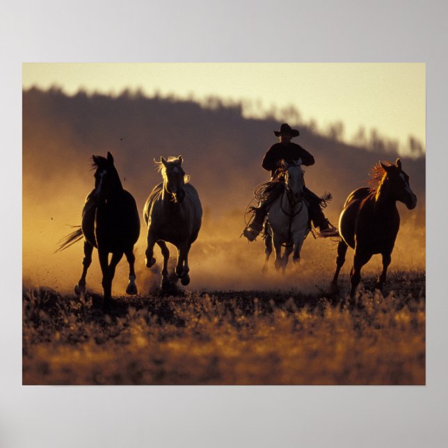Póster NA, EE.UU., Oregon, Seneca, Ponderosa Ranch, Cowbo (Frente)