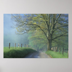 Póster NA, EE.UU., Tennessee, Cades Cove, Great Smoky