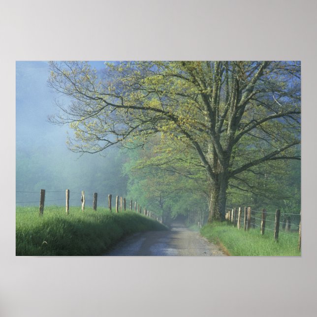 Póster NA, EE.UU., Tennessee, Cades Cove, Great Smoky (Frente)