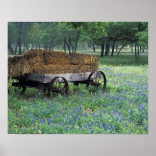 Póster NA, EE. UU., Texas, al este de Devine, Viejo vagón