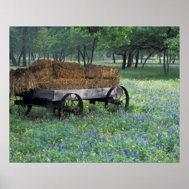 Póster NA, EE. UU., Texas, al este de Devine, Viejo vagón (Frente)