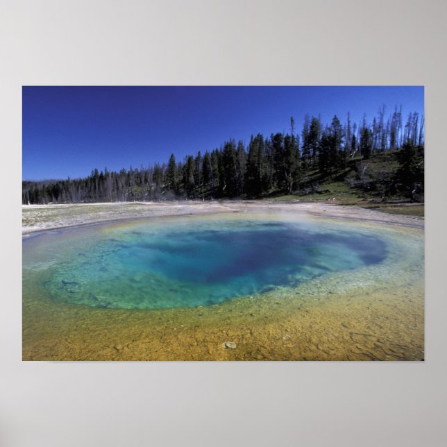 Póster NA, EE.UU., Wyoming, Parque Nacional Yellowstone.  (Frente)
