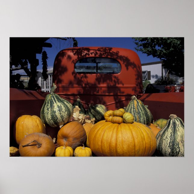 Póster NA, EEUU, Nuevo México, Taos. La posición de Chile (Frente)