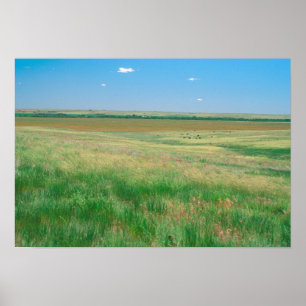 Póster NA, USA, NE. Grasslands near Ogallala with