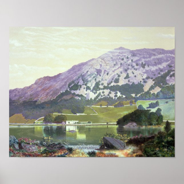 Póster Nab Scar (Frente)