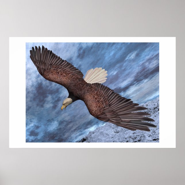 Póster Nacido para ser libre (Frente)