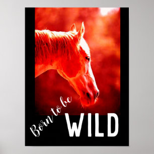 Póster Nacido para ser salvaje caballo cercano