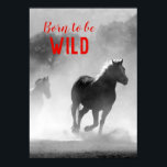 Póster Nacido para ser salvaje caballos de carreras blanc<br><div class="desc">Arte de Cabeza de Caballo - Cara de caballo - Fotografía de arte animal moderno</div>