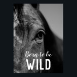 Póster Nacido para ser salvaje negro y blanco cerca del o<br><div class="desc">Arte de Cabeza de Caballo - Cara de caballo - Fotografía de arte animal moderno</div>